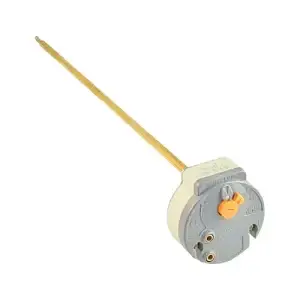 Geyser Thermostat
